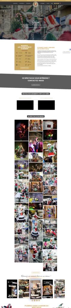 Page spectacles de la compagnie artistique CDLS Compagnie